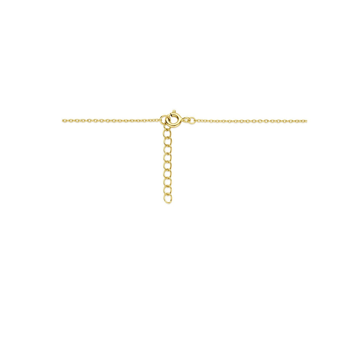 Verguld zilveren collier met hartje zirkonia en onyx medaillon