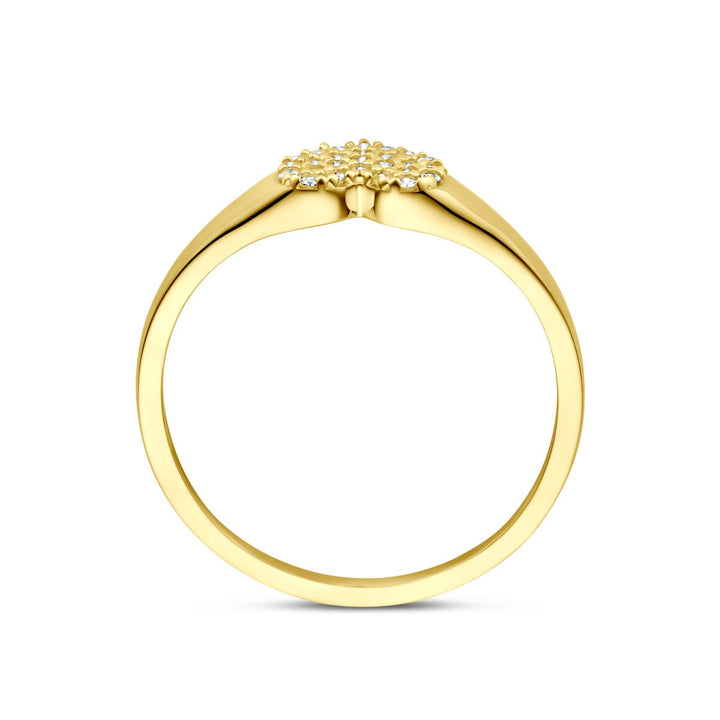 14k gouden ring met hart van zirkonia – 6 mm