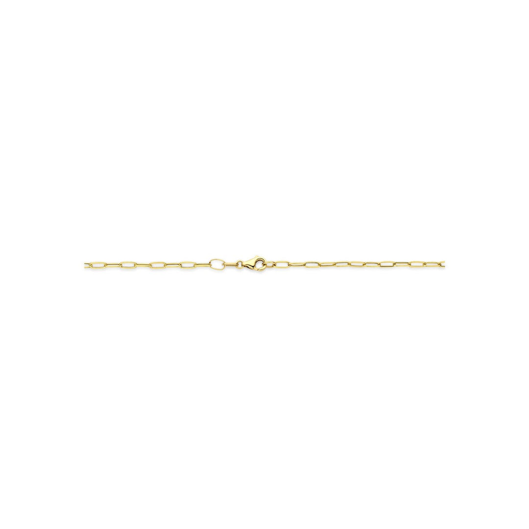 14k geelgouden collier met ankerschakel