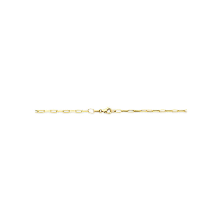 14k geelgouden collier met ankerschakel