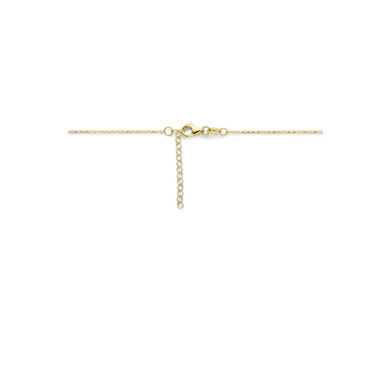 14k Geelgouden anker collier dames