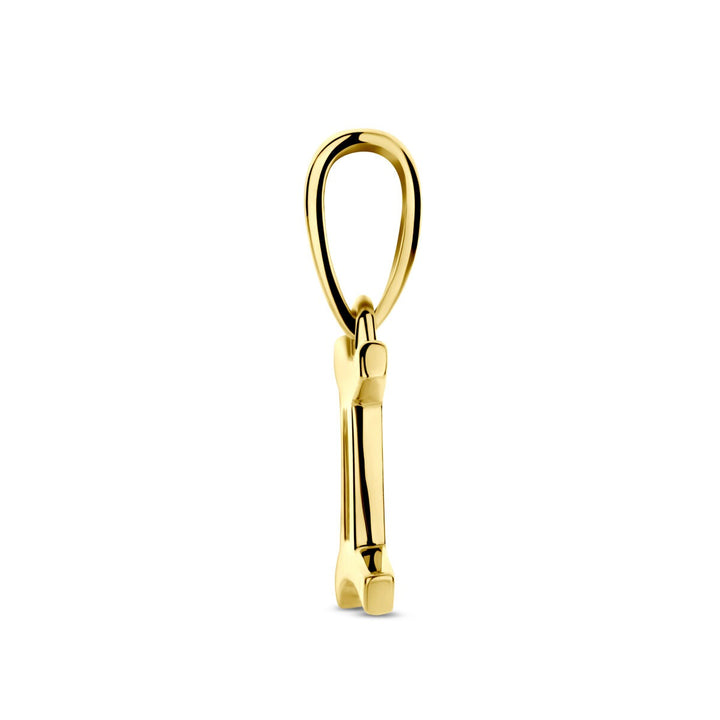 14k geelgouden hanger sterrenbeeld