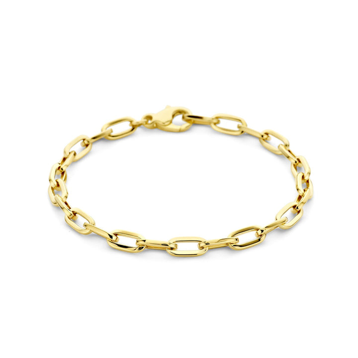 14k Geelgouden dames armband met anker schakel