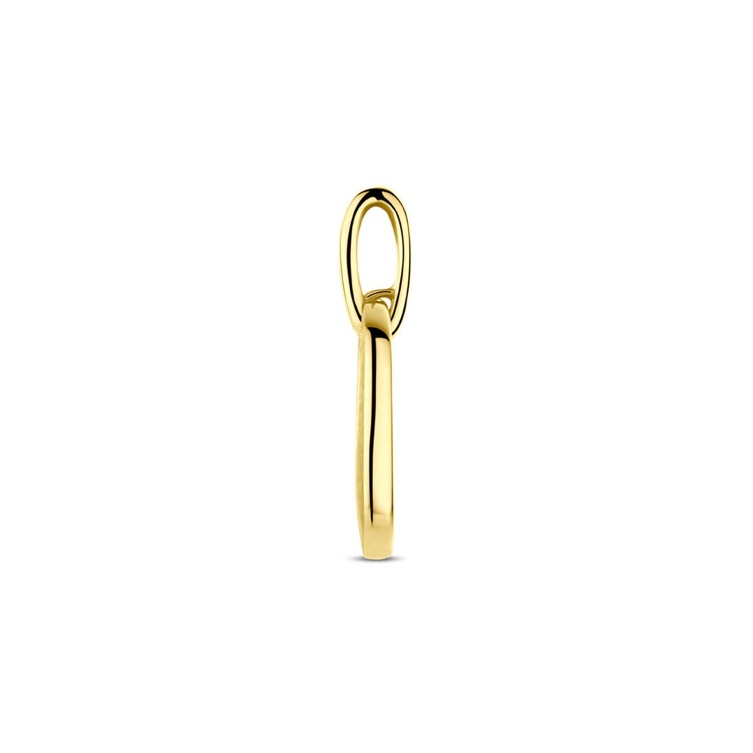 14k geelgouden hanger met diamant briljant geslepen 0.03ct h si 20 mm