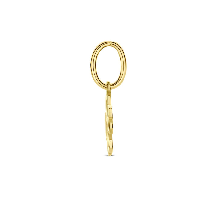 9k Geelgouden klaver graveer hanger