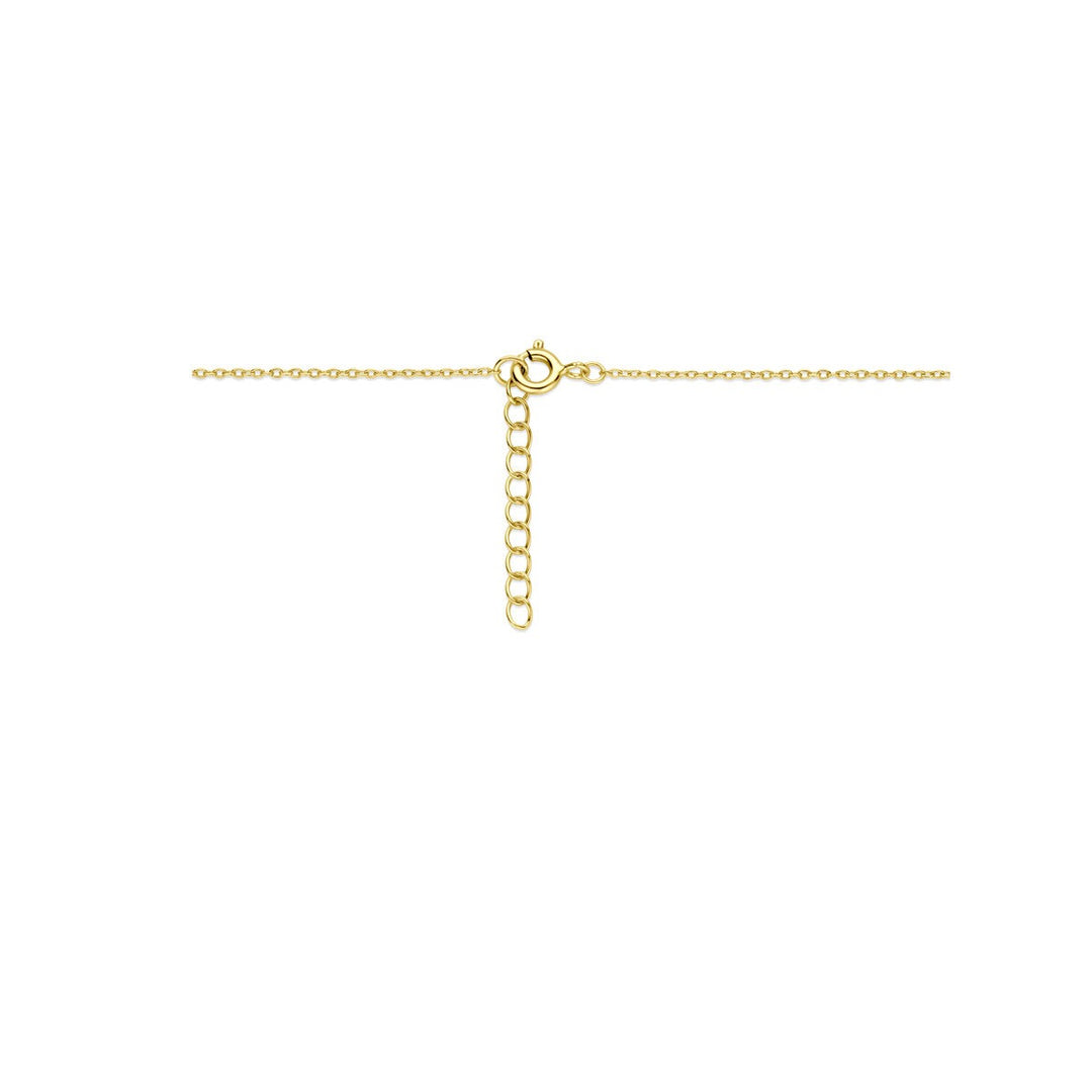 Verguld zilveren collier met zirkonia medaillon