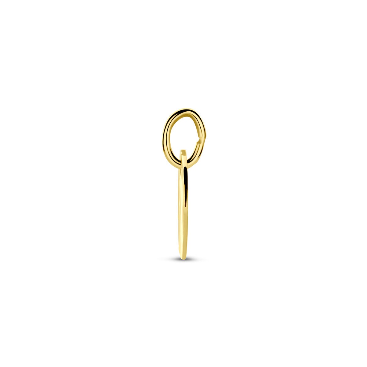 9k Gele Graveerhanger Rond