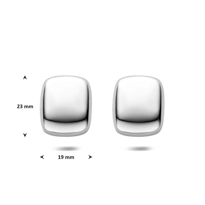 Stalen oorknoppen zilverkleurig – 23x19mm