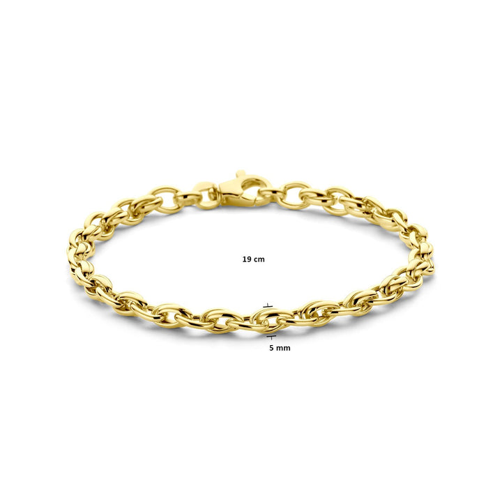 9k Geelkleurige armband met fantasie schakel 19 cm