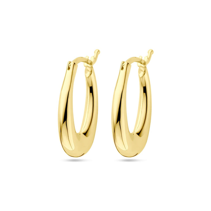 9k Geelgouden oorringen
