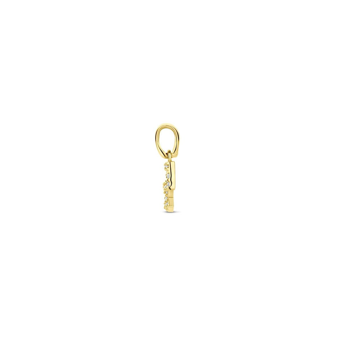 14k geelgouden sterrenbeeld hanger met diamant