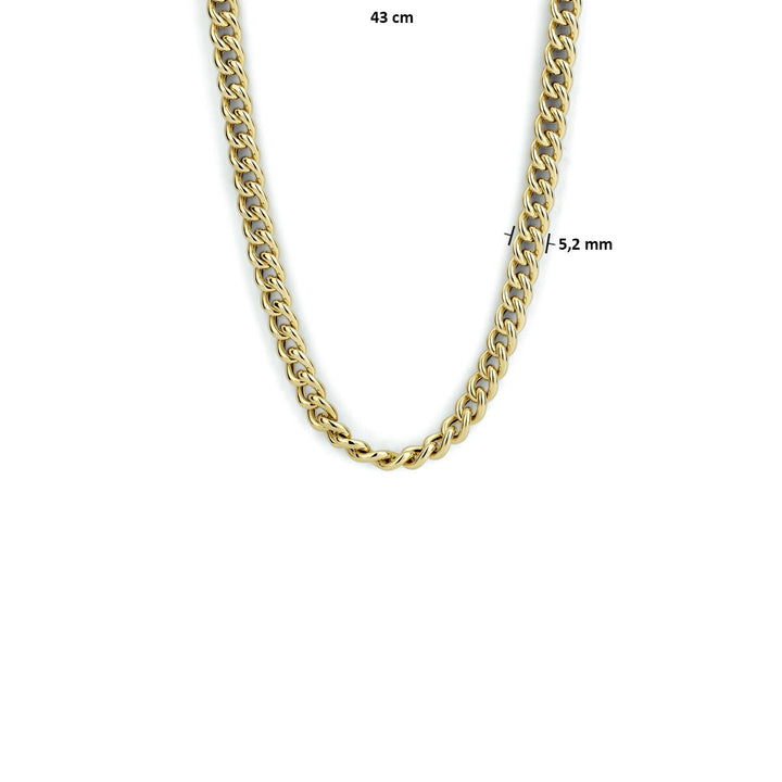 Gourmet ketting dames 14k geelgoud 5.2mm