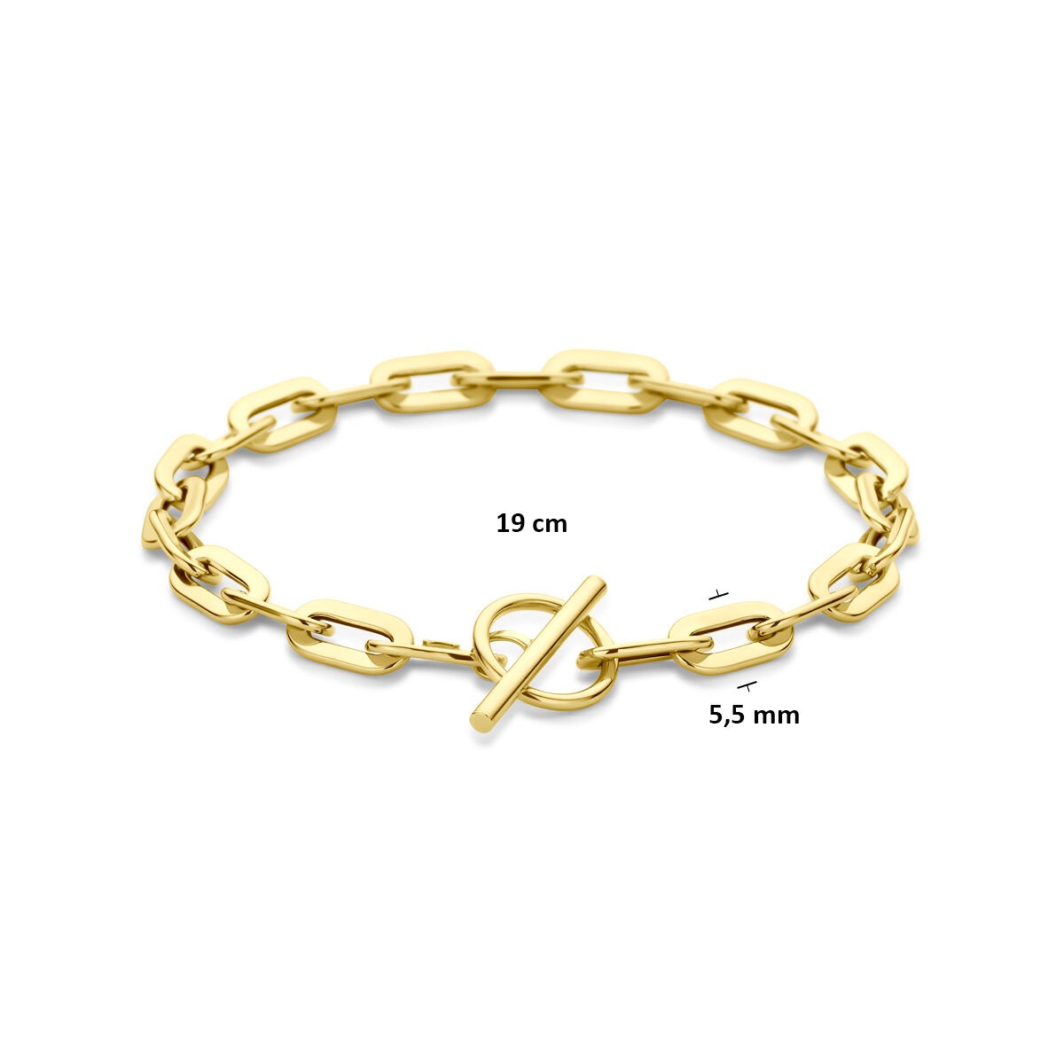 Gouden dames armband – 14k anker schakel met kapittelslot 5,5 mm 19 cm