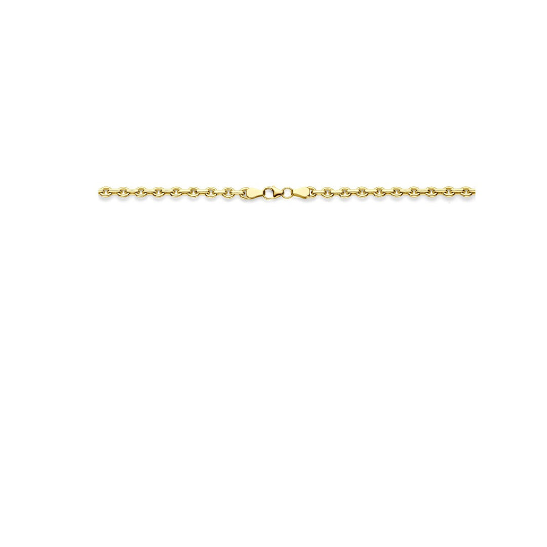 14k geelgouden ketting met zilverkern – Silgold anker collier