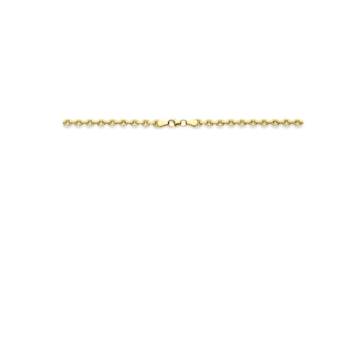 14k geelgouden ketting met zilverkern – Silgold anker collier