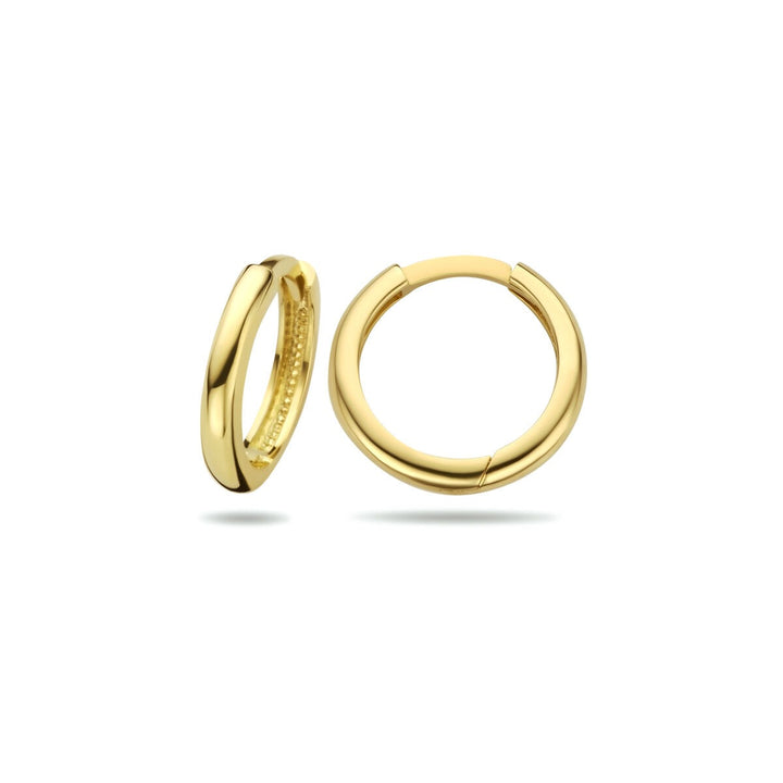 9k Geelkleurige klapoorringen 2 mm