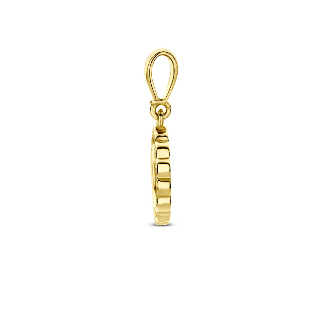 9k Geelgouden Ketting met Hanger Zirkonia Rond