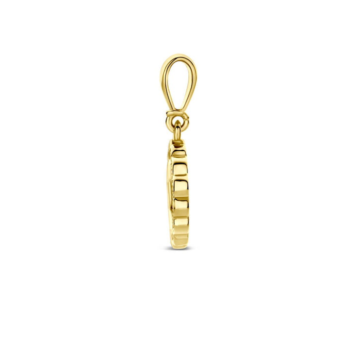 9k Geelgouden Ketting met Hanger Zirkonia Rond