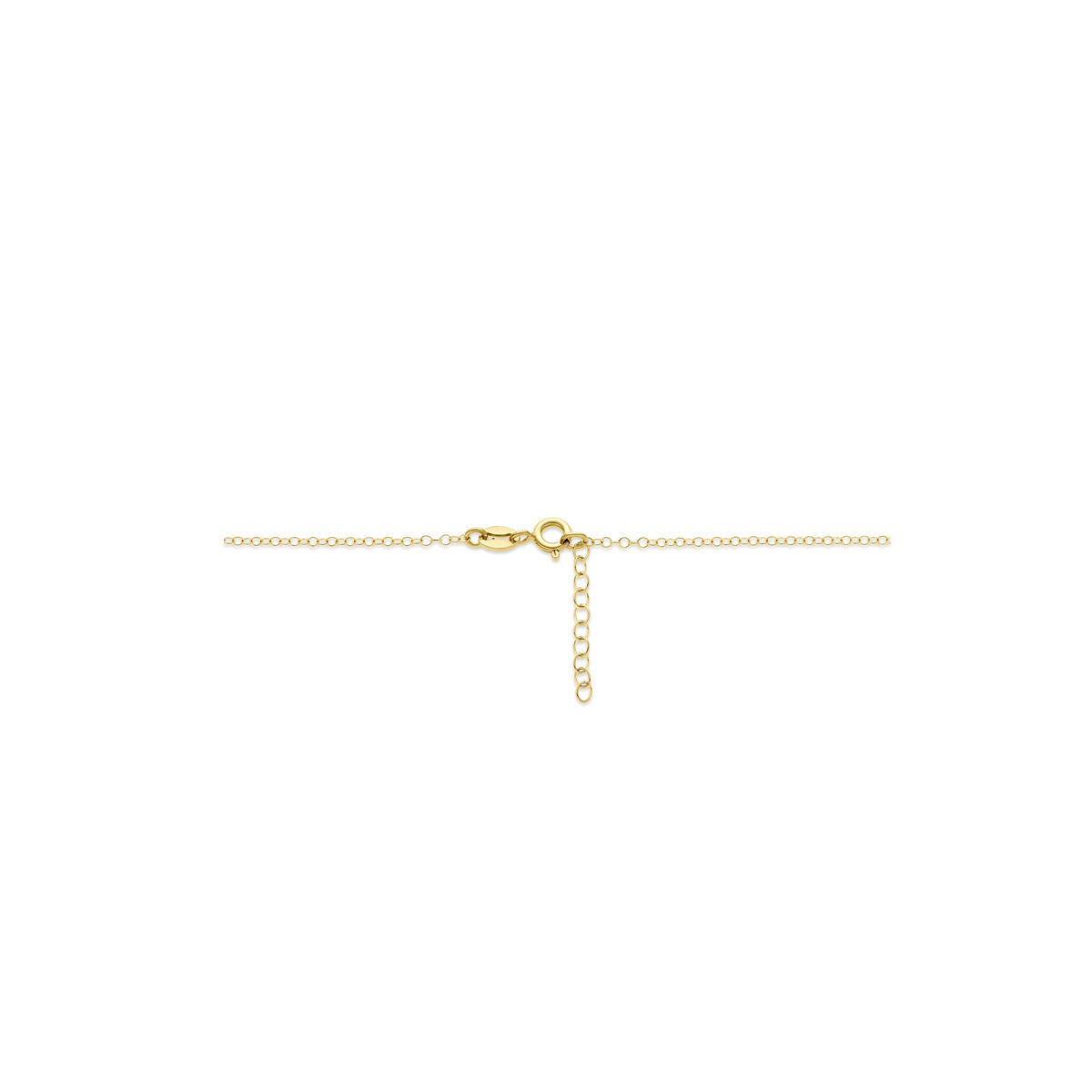 14k Geelgouden Ketting Ovaal Schakel