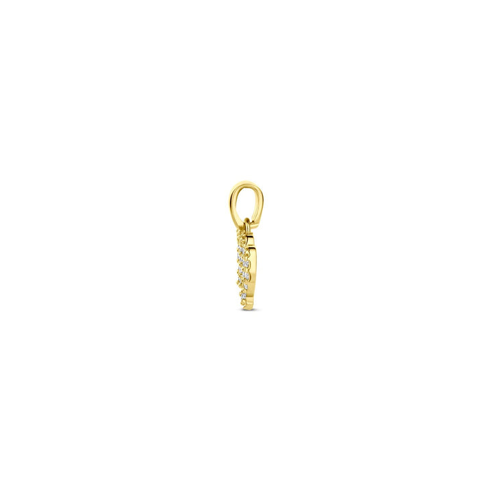 14k geelgouden sterrenbeeld hanger met diamant