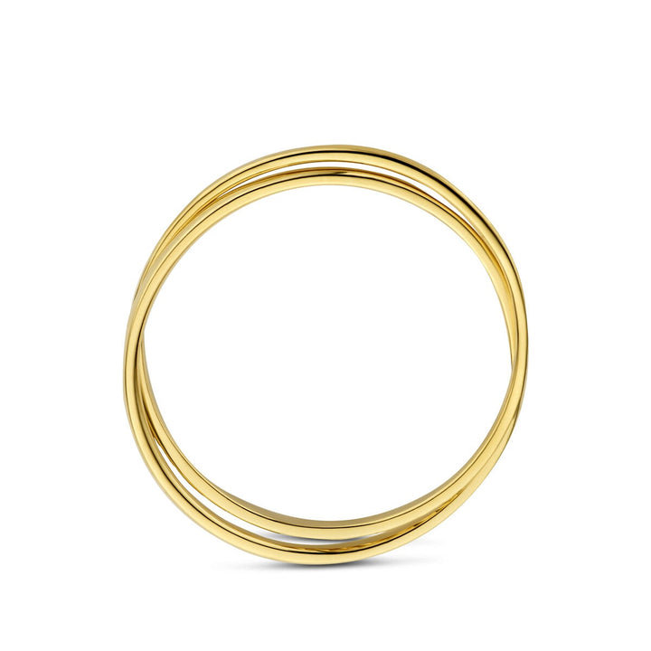 14k Geelgouden ring – dubbelbandig ontwerp met twee losse ringen