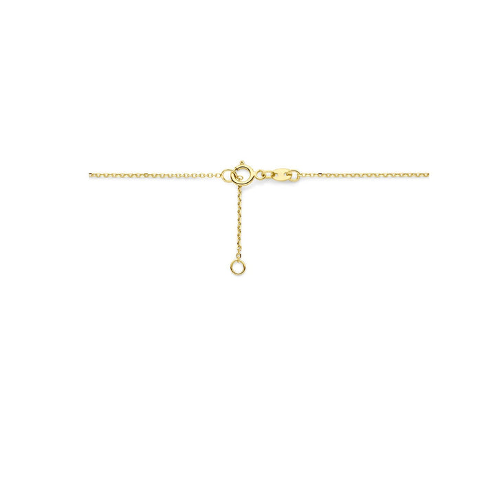 14k geelgouden collier met druppelvormige hanger