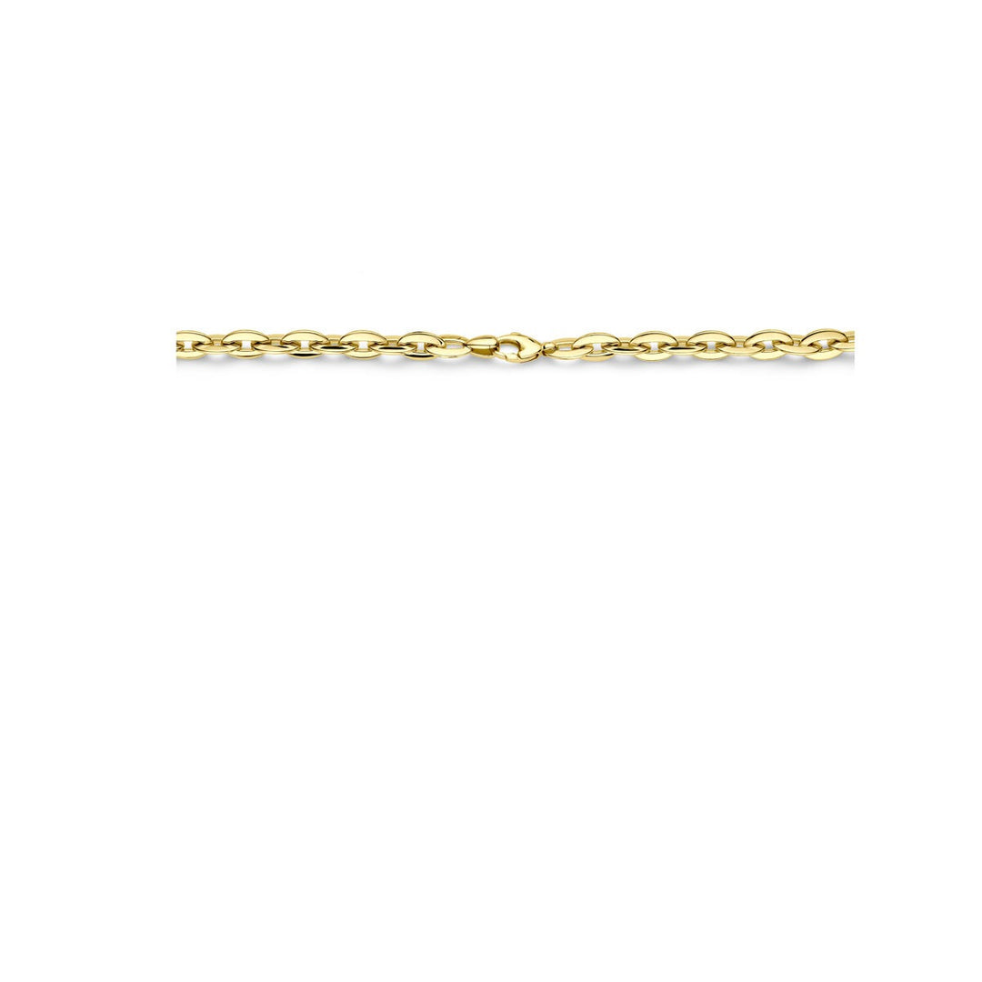14k Geelgouden anker schakel collier dames
