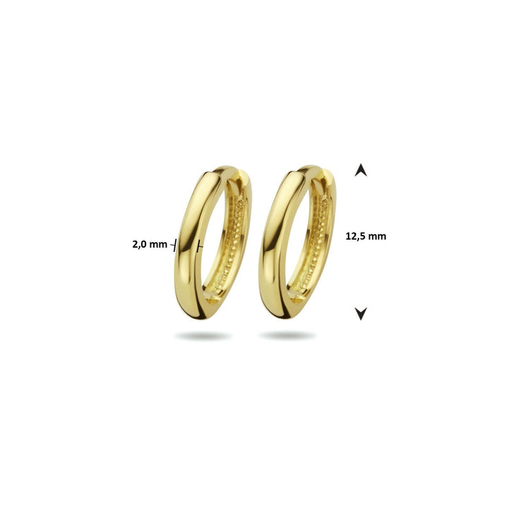 9k Geelkleurige klapoorringen 2 mm