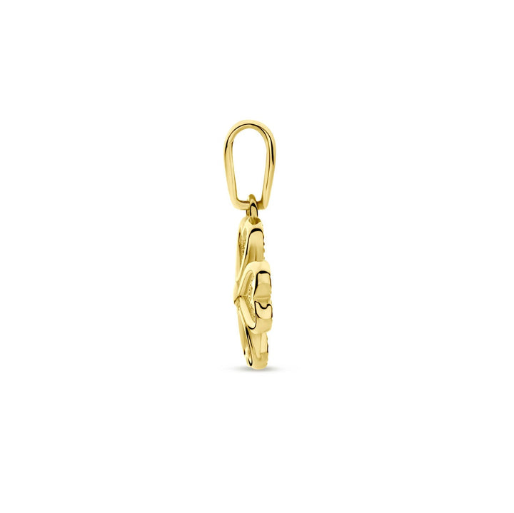 14k geelgouden klavertje-hanger – symbool van geluk