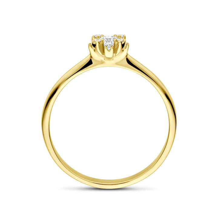 14k geelgouden damesring met zirkonia – elegante ring in entourage stijl