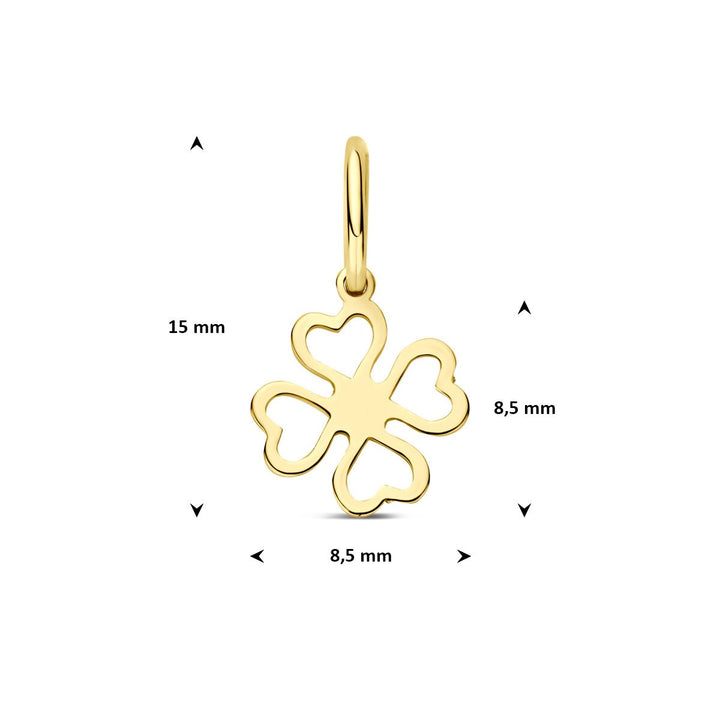 9k Geelgouden klaver graveer hanger