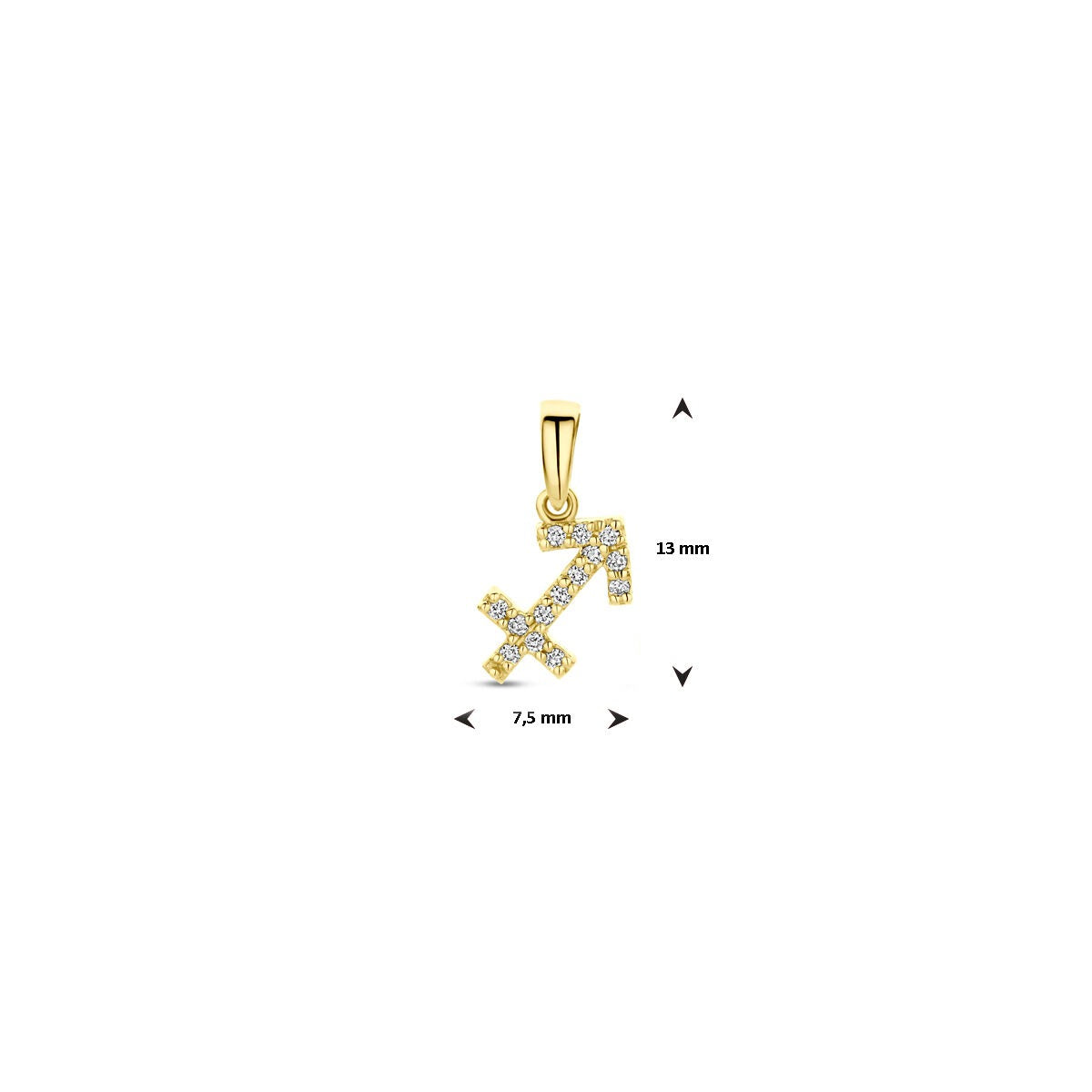 14k geelgouden sterrenbeeld hanger met diamant