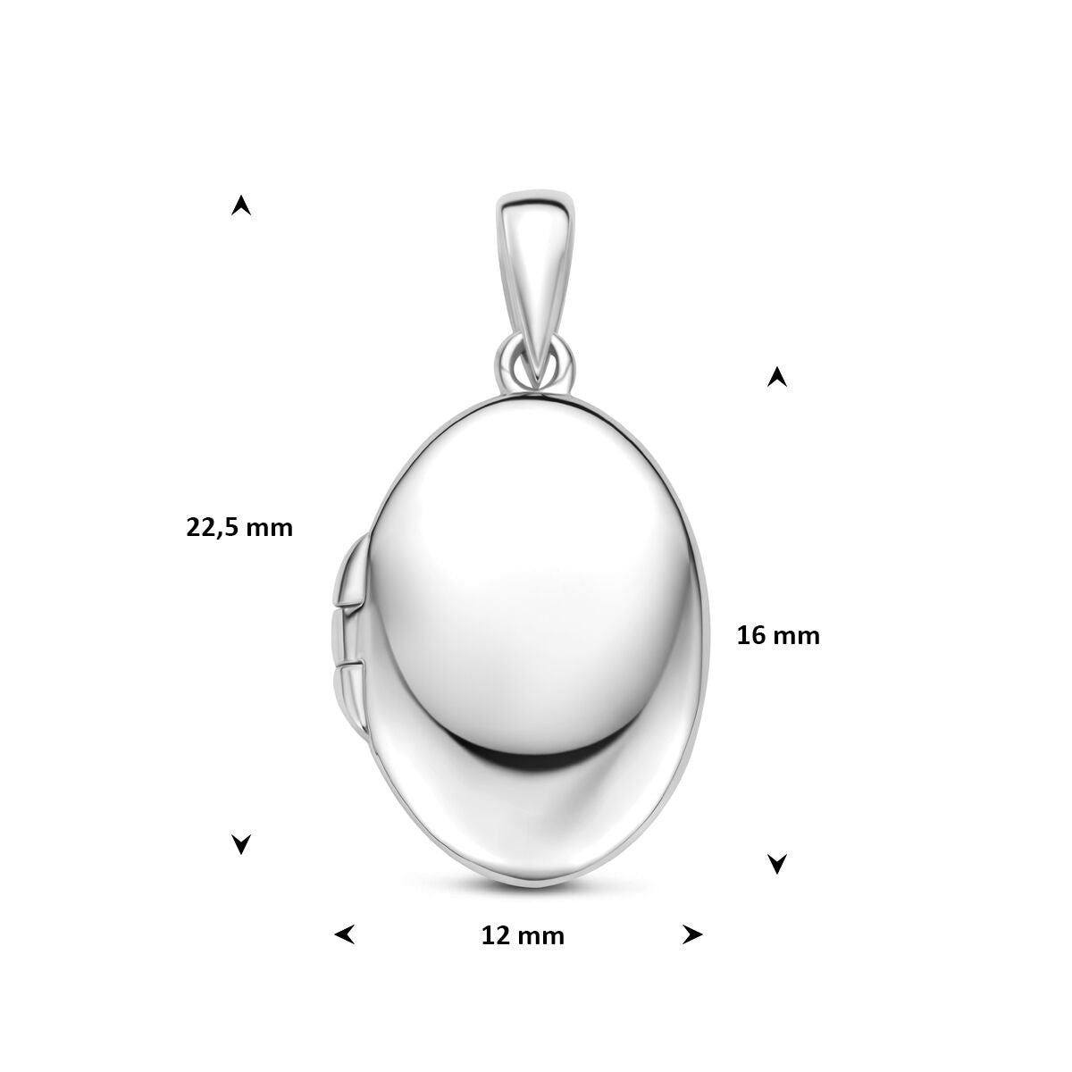 Gerhodineerd 925k zilveren medaillon