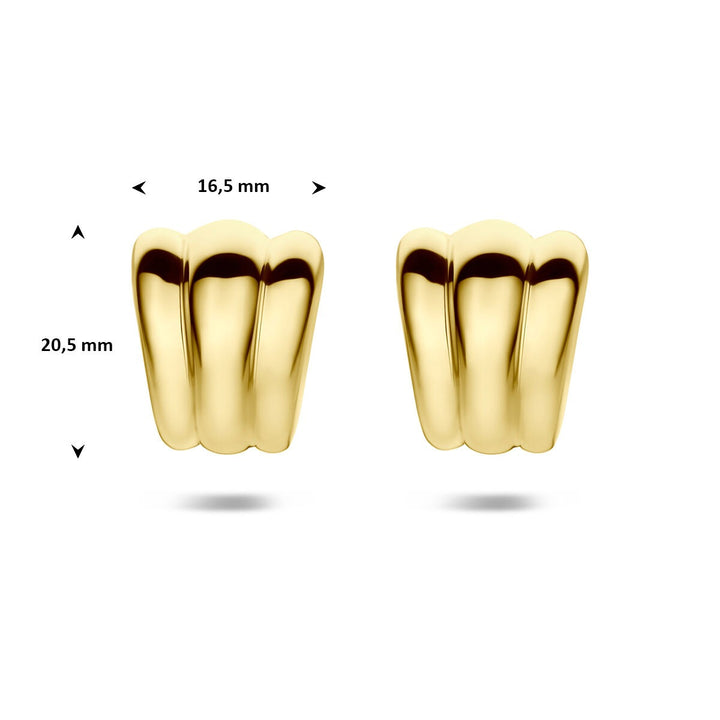 Verguld 925 Zilveren Stekeroorbellen 20,5 x 16,5 mm Dames