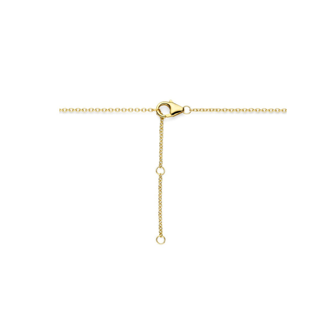 14k Geelgouden Collier met Diamant – Entouragezetting 0.25ct
