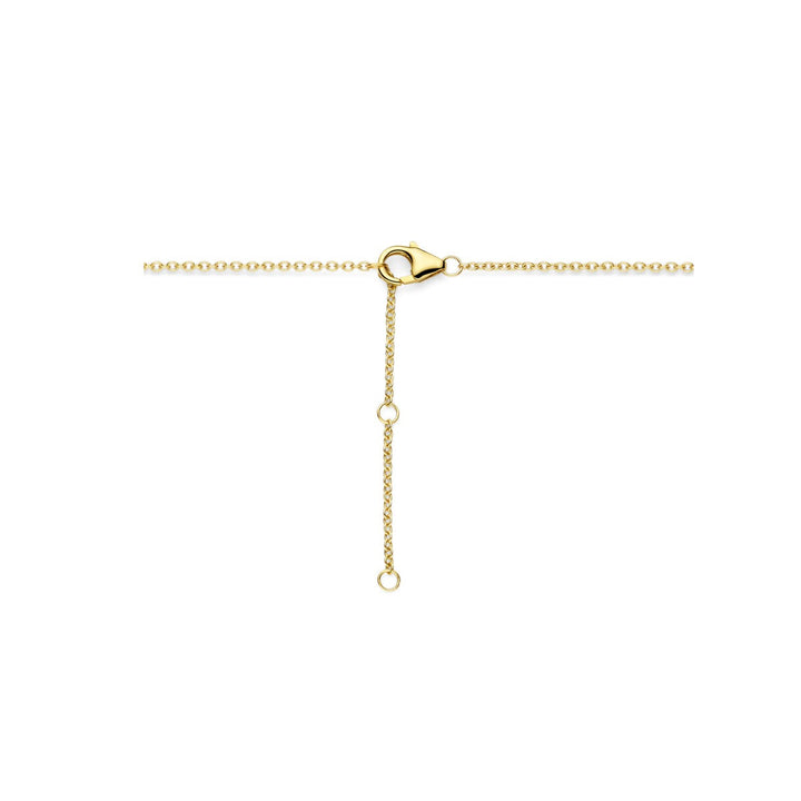 14k Geelgouden Collier met Diamant – Entouragezetting 0.25ct
