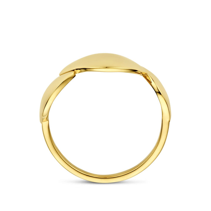 14k Geelgouden dames ring met brede band
