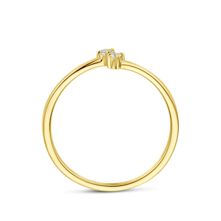 14k Geelgouden Ring met Diamant 0,05 ct