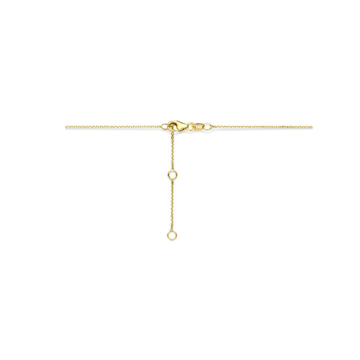 14k Geelgouden ketting met anker