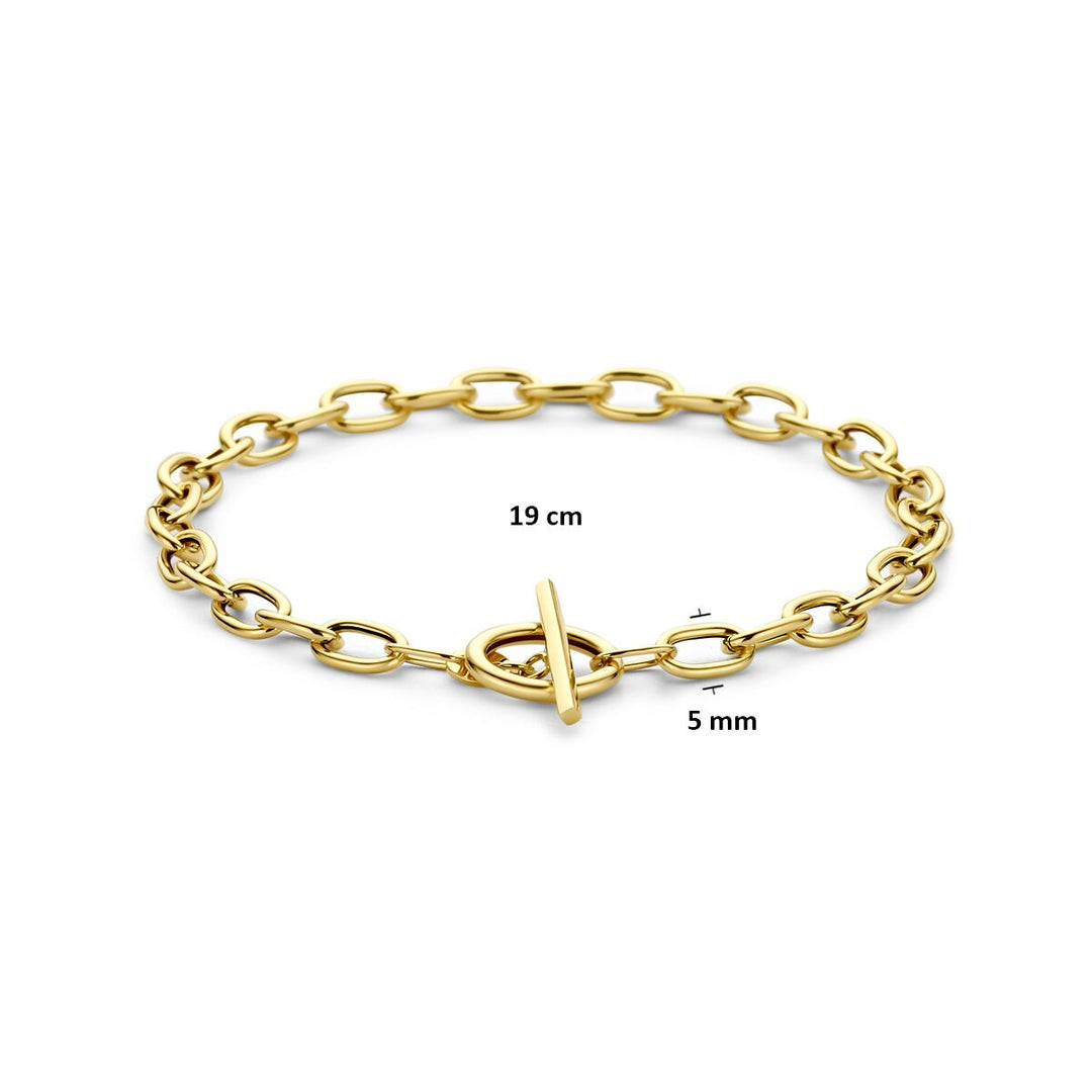 14k Geelgouden ankerarmband met kapittelslot
