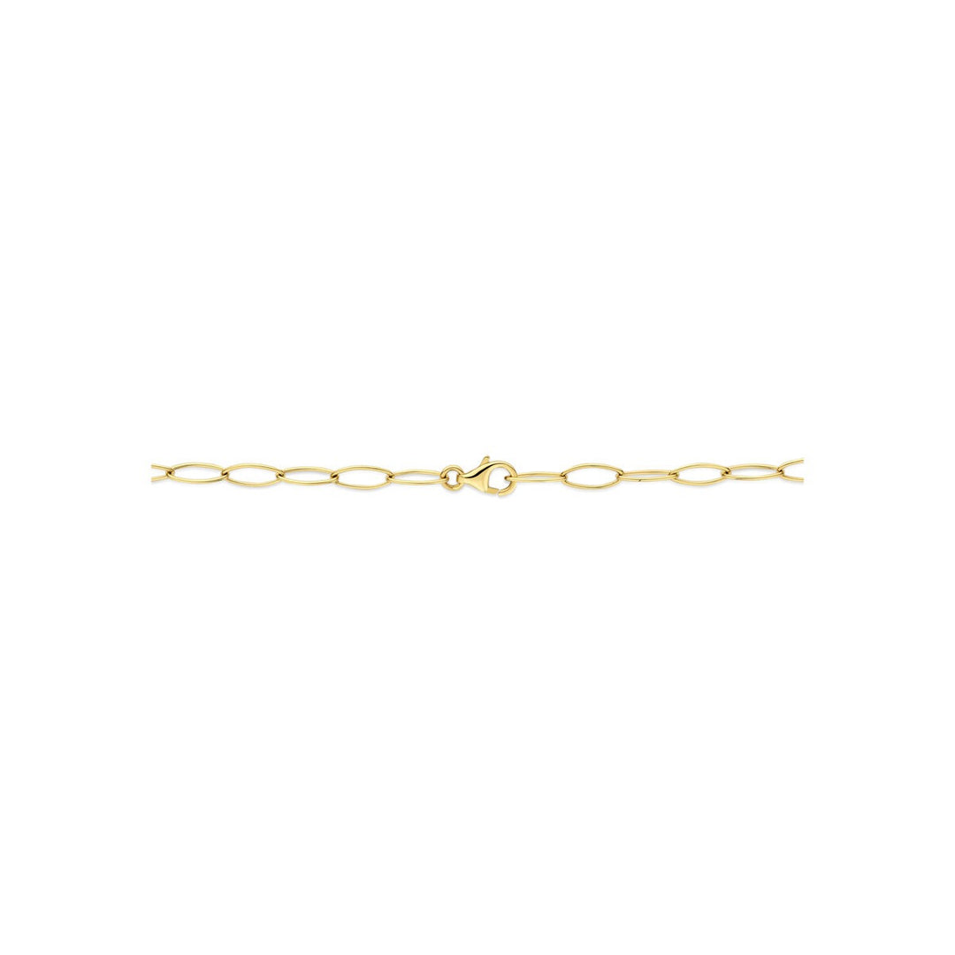 14k Geelgouden Schakel Ketting Anker