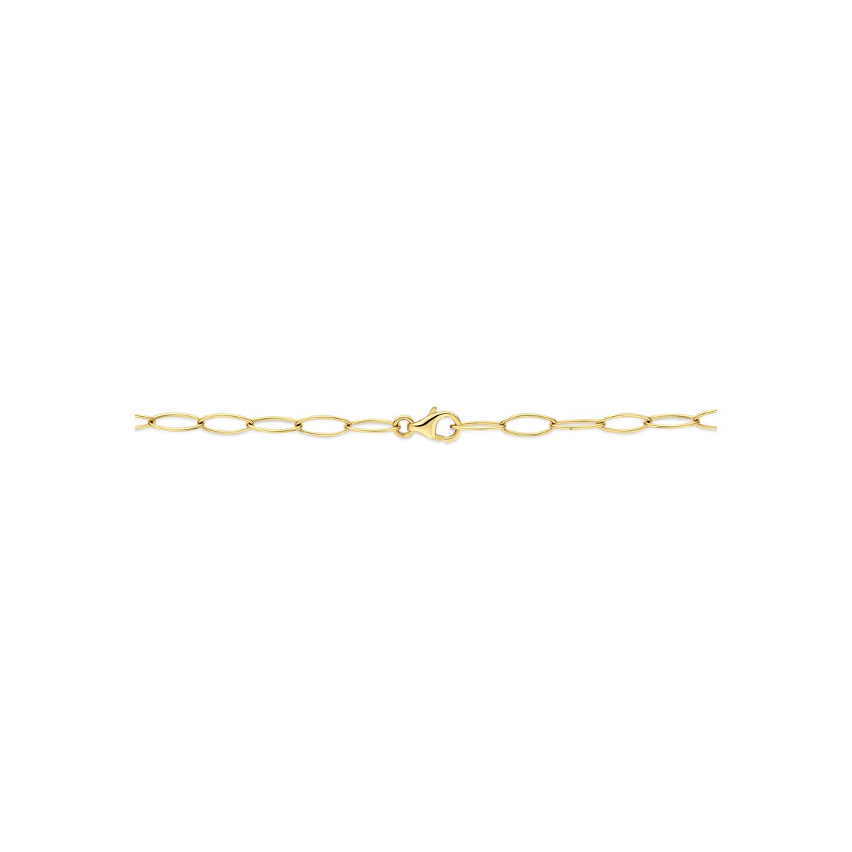 14k Geelgouden Schakel Ketting Anker
