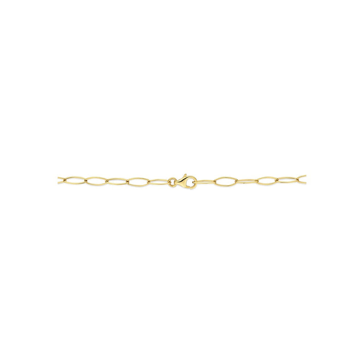 14k Geelgouden Schakel Ketting Anker