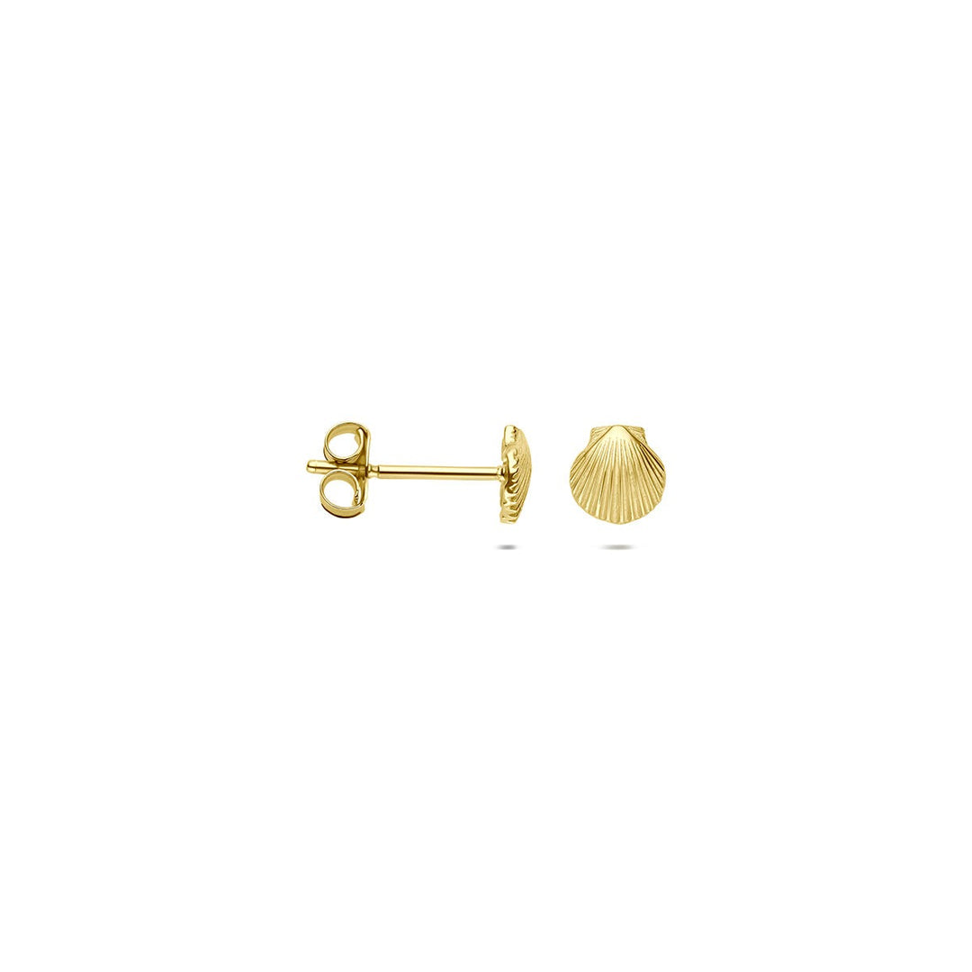 9k Geelgouden schelp oorknopjes