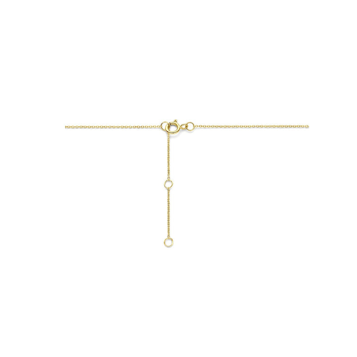14k Geelgouden collier met lab grown diamant bloem