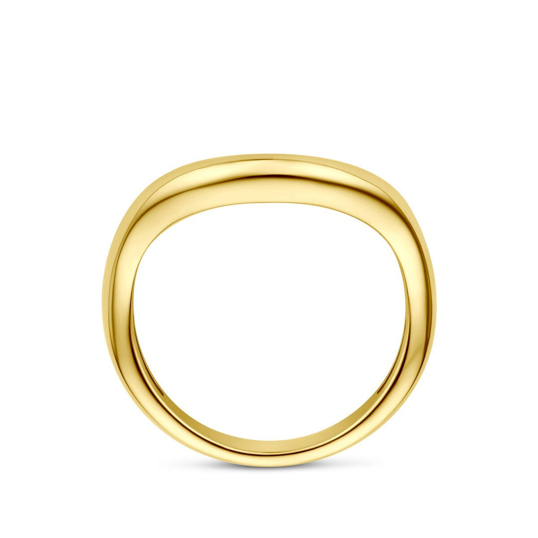 14k Geelgouden ring