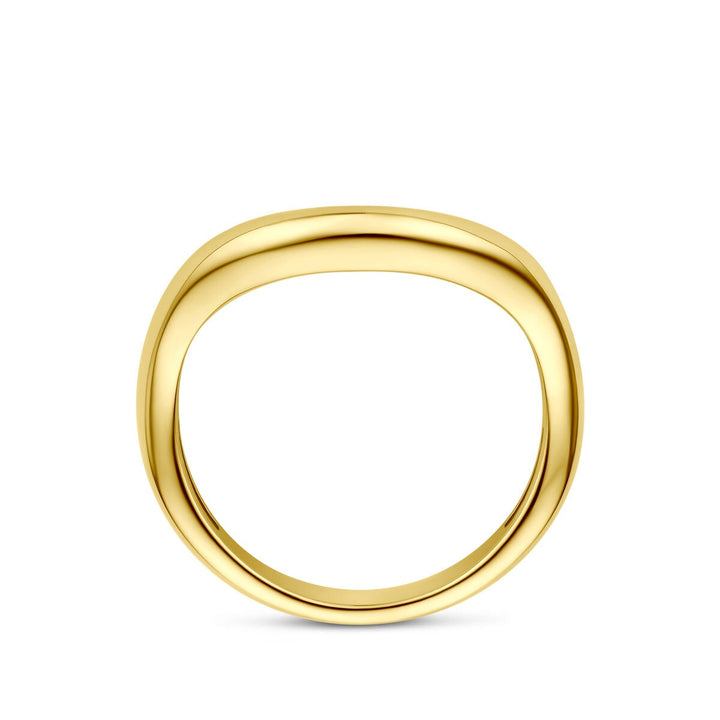 14k Geelgouden ring