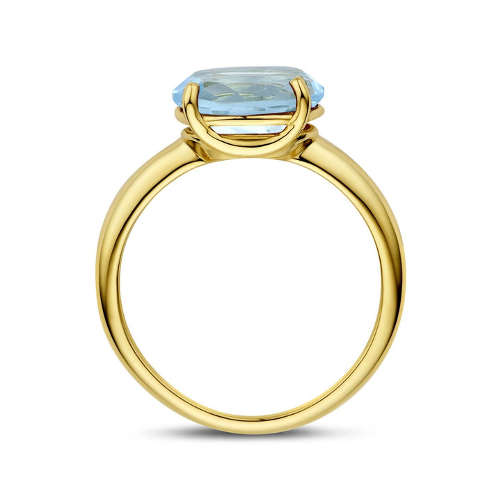 14k Geelgouden ring met blauwe topaas