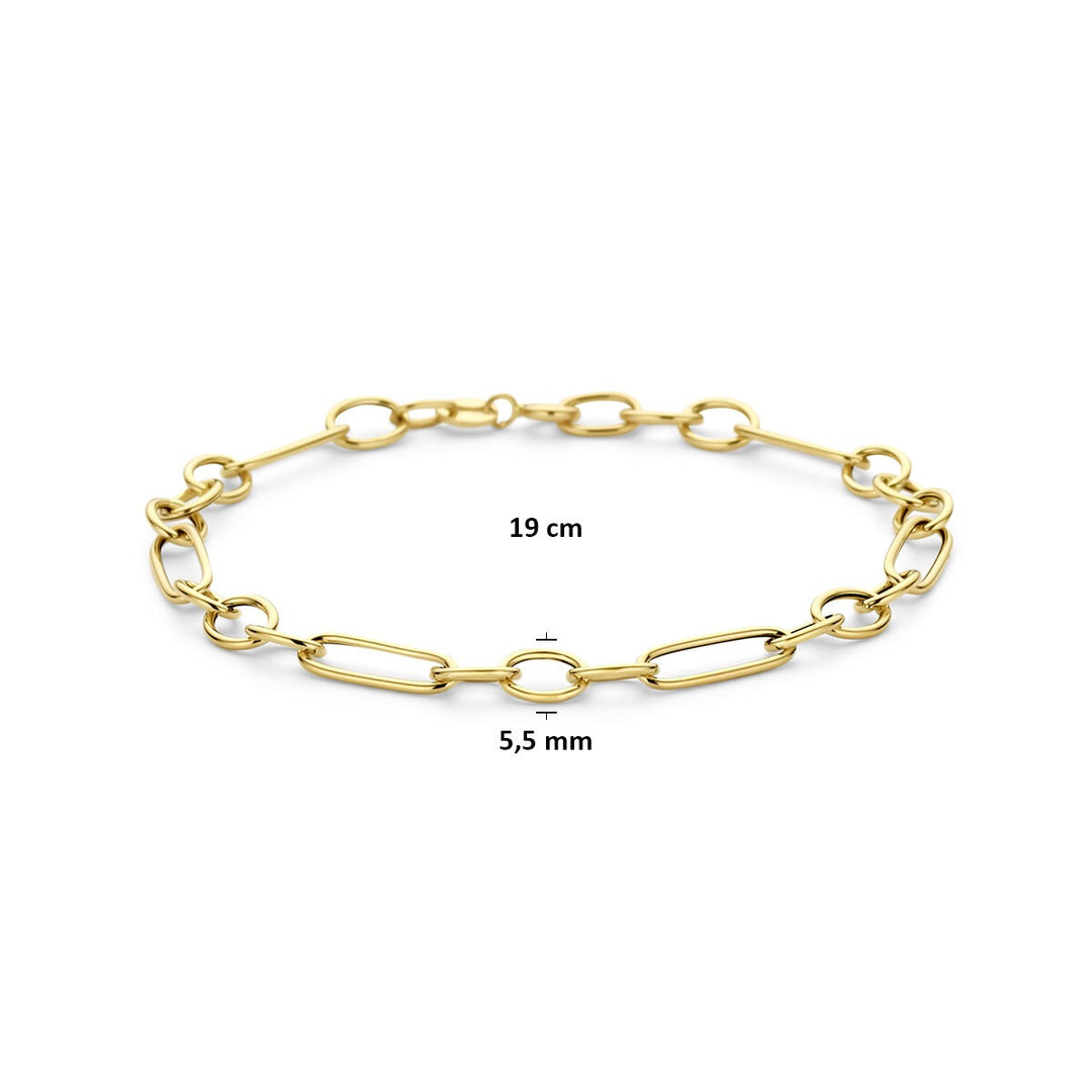 14k Geelgouden Schakel Armband Anker