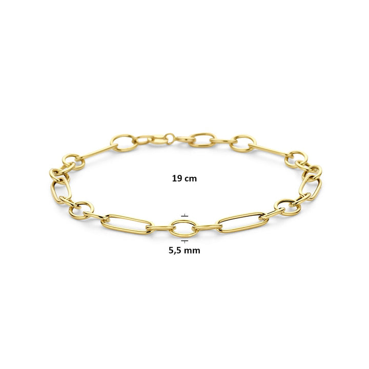 14k Geelgouden Schakel Armband Anker
